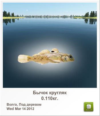 Дима Ильин | Москва