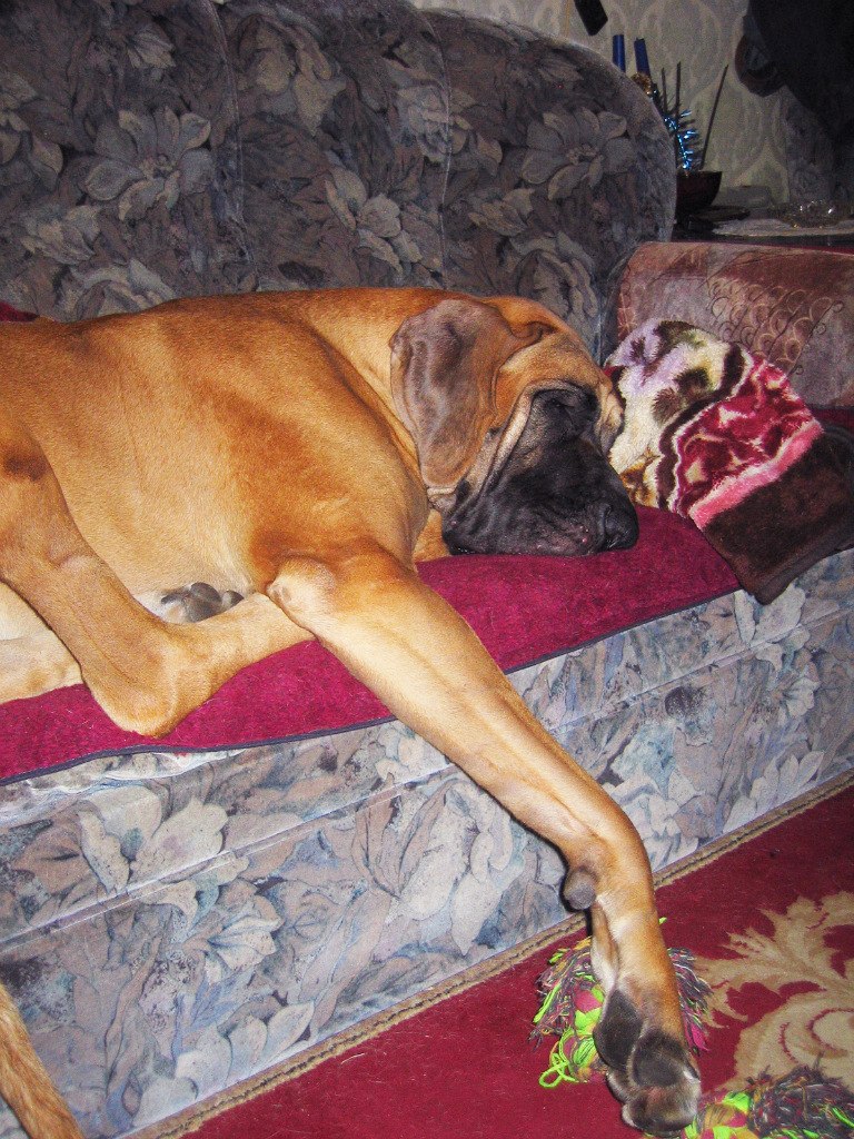 Ирина Кузнецова | Москва