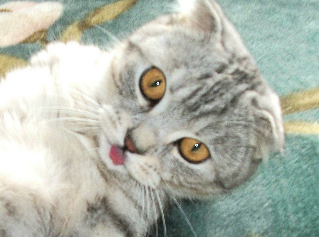 Ирина Филиппова | Санкт-Петербург