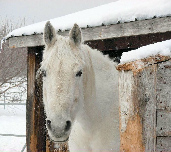 №41, Эвелина Давудова, 09.02.1995, Москва №41, Эвелина Давудова, 09.02.1995, Москва