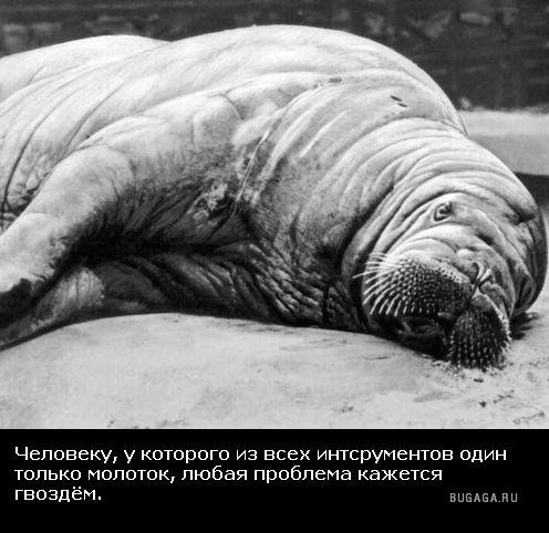 Виктор Федотенко | Великие Луки