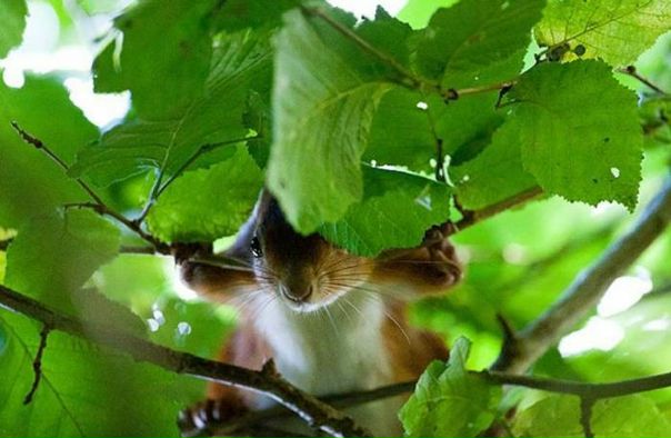 №138, Ирина Пахомова, 42 года, Нижний Новгород, Россия №138, Ирина Пахомова, 42 года, Нижний Новгород, Россия