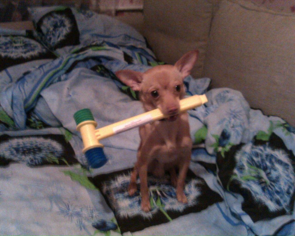 Артем Уженцев | Ростов-на-Дону