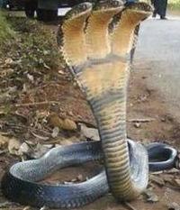 Сергейлеонидович Старшиков cTaPblu* | Севастополь