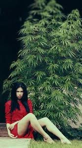 Катюха Бакулич | 