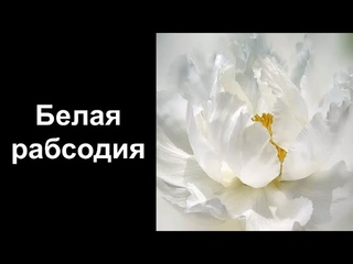 Белый Пион. Уроки со скидкой 90 процентов в описании ролика.