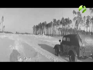 Полярные истории - Фарман Салманов (2016)