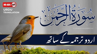 Surah Rahman With Urdu Translation Full | Episode 122 | Quran Tilawat Tarjuma