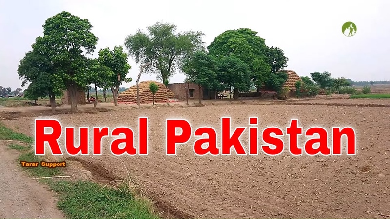 Village Life In Pakistan Daily Routine Work in