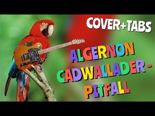 Algernon Cadwallader - Pitfall / COVER + TABS