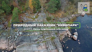 Государственный природный заказник «Кивипарк»