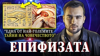 Неразказаната Тайна на Епифизата, Третото Око и Порталът вътре в нас - СКРИТАТА РЕАЛНОСТ (ЕП 47)