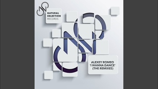 I Wanna Dance (The Remixes) (DJ JunGo & Dmitriy Rs Remix)