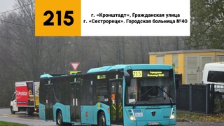 Автобус 215. г Кронштадт, Гражданская улица - г. Сестрорецк, Городская больница №40.
