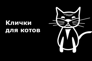 Клички, имена для котов. Как назвать кота.