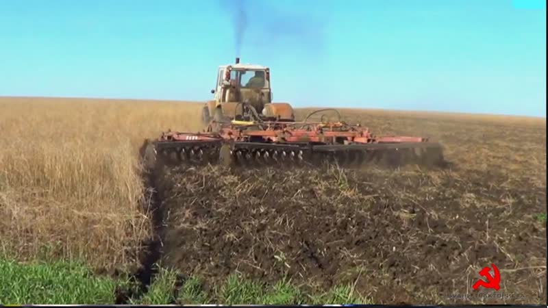 Начали дисковать не убранный рапс на двух Т 150К с БДМ 3х4 и