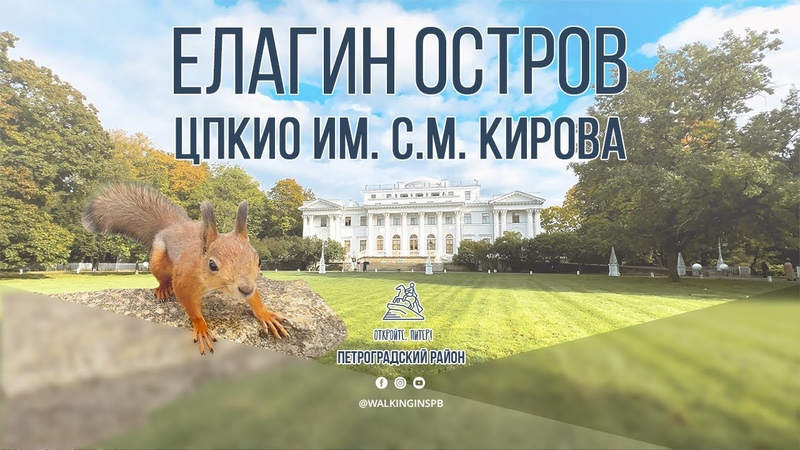 Атака белок Прогулка на Елагином острове (ЦПКиО им. Кирова)