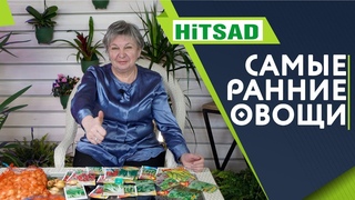 ЧТО ВЫРАСТЕТ САМЫМ ПЕРВЫМ  СУПЕР РАННИЕ ОВОЩИ И ЗЕЛЕНЬ  Ранние посадки овощей с Хитсад ТВ