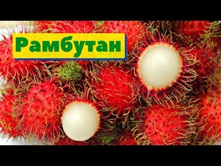 КАК ВЫРАЩИВАЮТ РАМБУТАН.