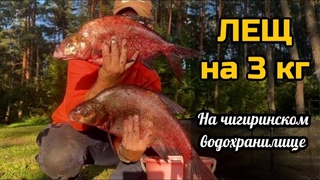 Лещ на 3 кг!!!А за ним Второй.Фидерная рыбалка на Чигиринском водохранилище #рыбалка #фидер #лещ