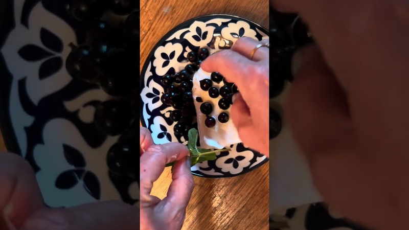 Best DESSERT for 5 minutes Ice Cream with Black Currant, Mint and White