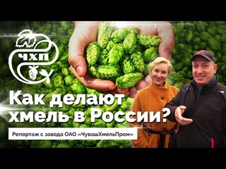 Как делают хмель в России ЧувашХмельПром