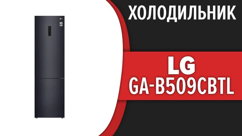 Холодильник LG GA B509 CBTL ( GA B509 CETL, GA B509 CMTL, GA B509