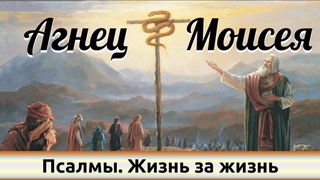 Агнец Моисея - Псалмы. Жизнь за жизнь. Дмитрий Герасимович.