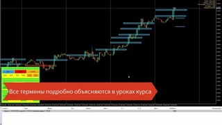 📼 Прибыль каждый день  70% прибыли в месяц  Евгений Стриж   Издательство Info DVD