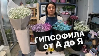 Как я работаю с Гипсофилой | Раскрываю все секреты!