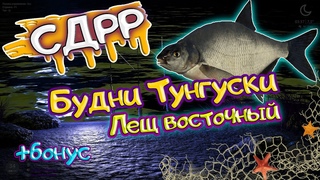 Рыбацкие похождения. Лещ восточный на Тунгуске / Со дна Русской рыбалки. ( Русская рыбалка 4 )