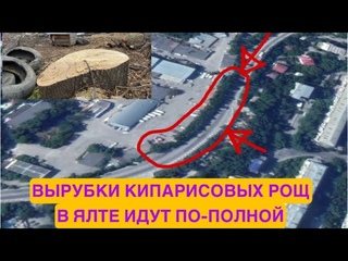 В Ялте позволяют выпиливать деревья целыми рощами - требуем изменения законодательного акта