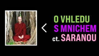 O vhledu s buddhistickm mnichem ctihodnm Saranou (online rozhovor)