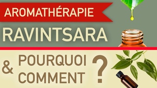 Comment et pourquoi utiliser l’huile essentielle de ravintsara