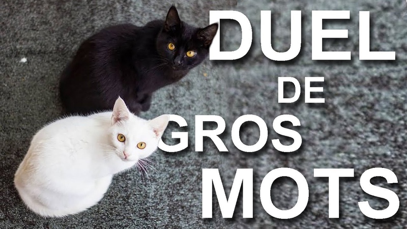 DUEL DE GROS MOTS PAROLE DE