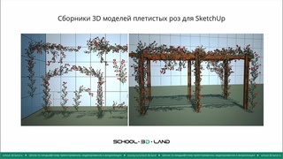 Пояснение к сборникам с плетистыми розами для SketchUp