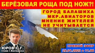 Балашиха. Берёзовая роща под нож! Мкр. Авиаторов. Мнение жителей не учитывается. Юров С.Г.