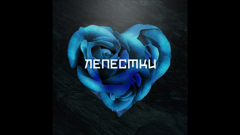 100 PRO Family Лепестки ( Official