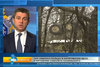 СКР обвинил Польшу в затягивании расследования о крушении самолета Качиньского