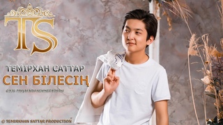 ТЕМИРХАН САТТАР - СЕН БИЛЕСИН (АУДИО) (премьера песни) 2020