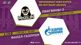 . 15-00. ПИНГВИНЫ-2 - ФАКЕЛ-ГАЗПРОМ. Чемпионат МФЛ Курск по футзалу 2023/24. 13 тур
