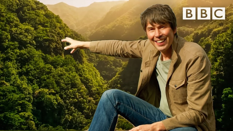 How did life begin on Earth Professor Brian Cox explains everything