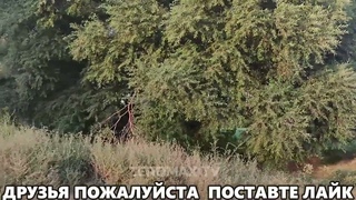 27 Сентября Сегодня / УТРЕННЯЯ СВОДКА Обзор на 27 Сентября/ ТОЛЬКО ЧТО ПРИШЛА НОВОСТЬ / ПРЯМО СЕЙЧАС
