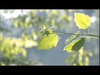 Анастасия Родная - И каждое мгновенье с тобой Бог!..