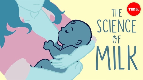 The science of milk Jonathan J.