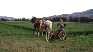 Mowing Hay with Horses