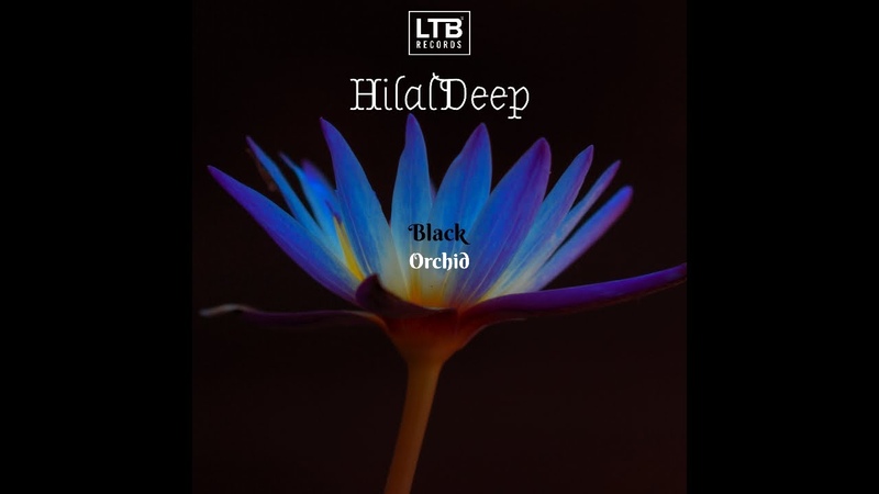 Hilal Deep Black