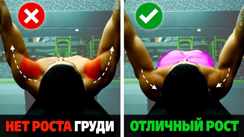 Как НАКАЧАТЬ ГРУДЬ в ЖИМЕ ЛЕЖА. 2 лучших