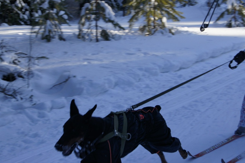 Екатерина Вахрушева | Нижний Тагил