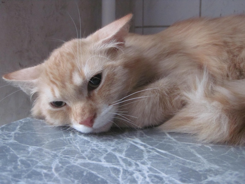 Денис Макеев | Санкт-Петербург